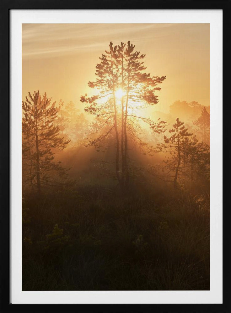 20220809  Dsf8009 Hdr 1 | Poster