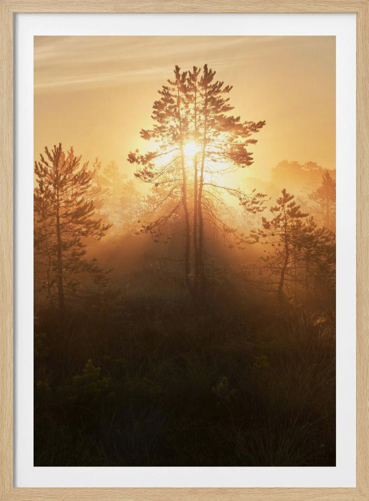 20220809  Dsf8009 Hdr 1 | Poster