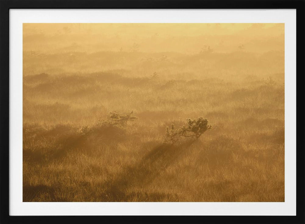 20220809  Dsf8027 1 | Poster