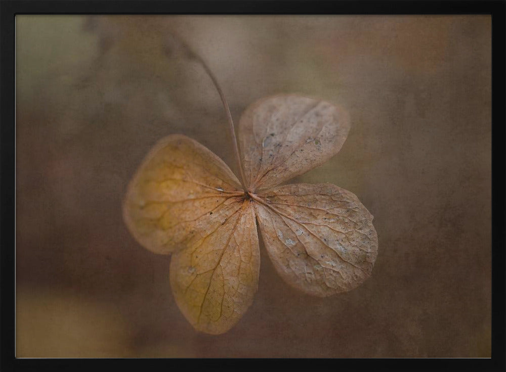 remains of the day | Poster