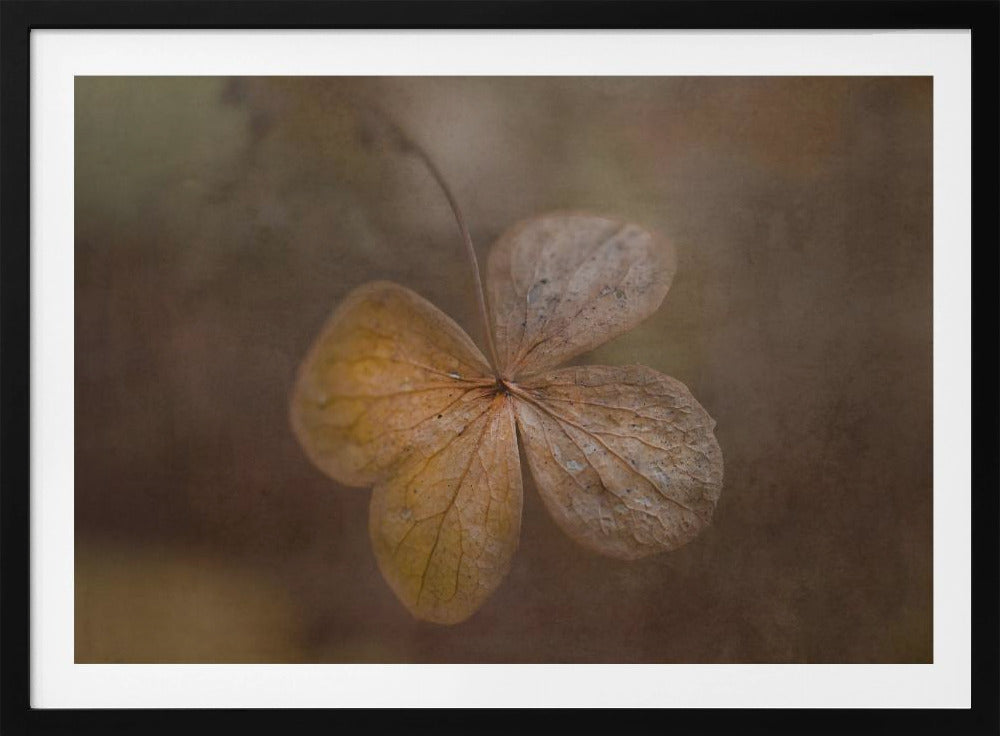 remains of the day | Poster