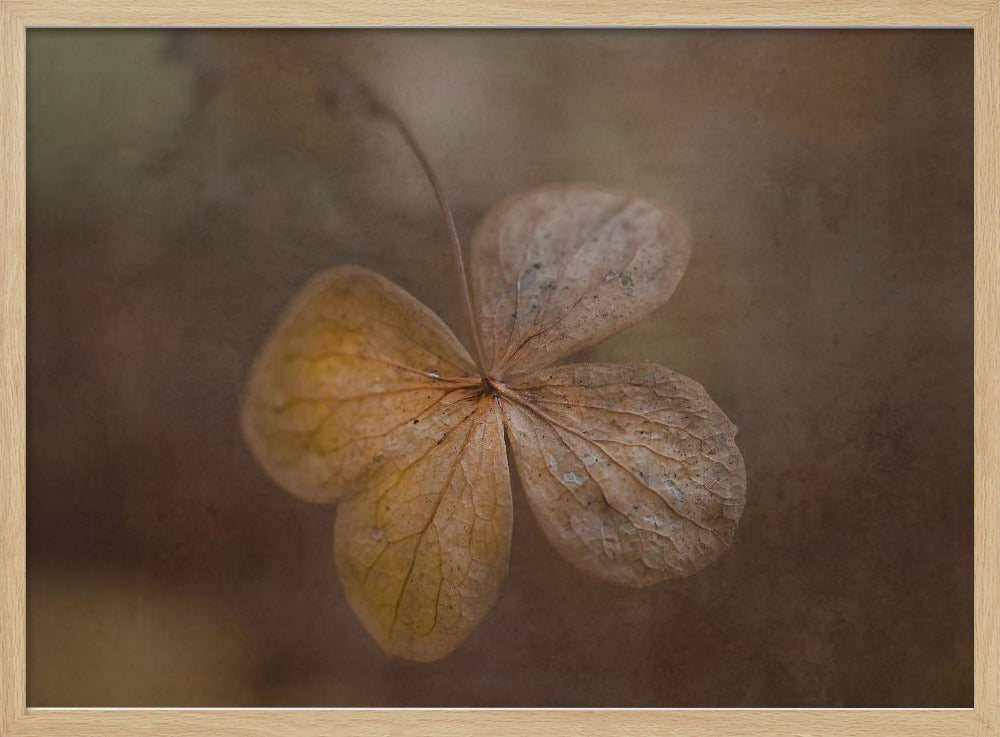 remains of the day | Poster