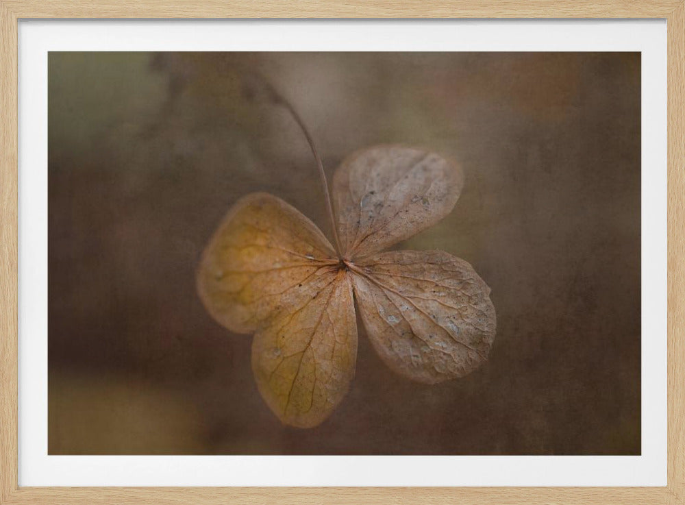 remains of the day | Poster