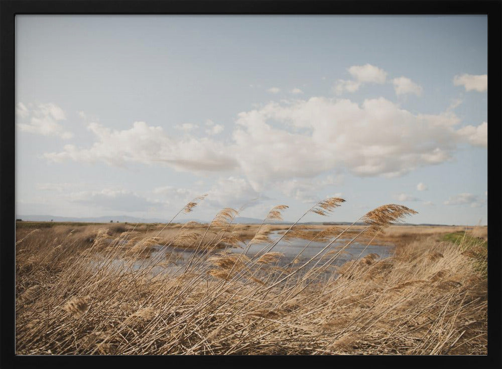 Marshland No.6 | Poster