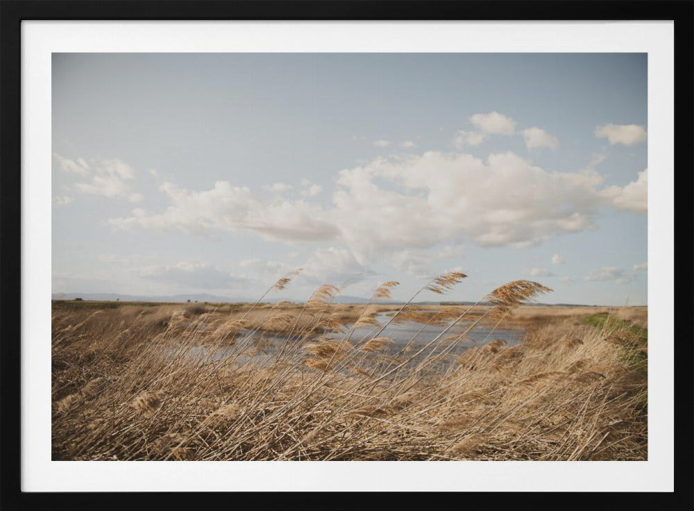 Marshland No.6 | Poster