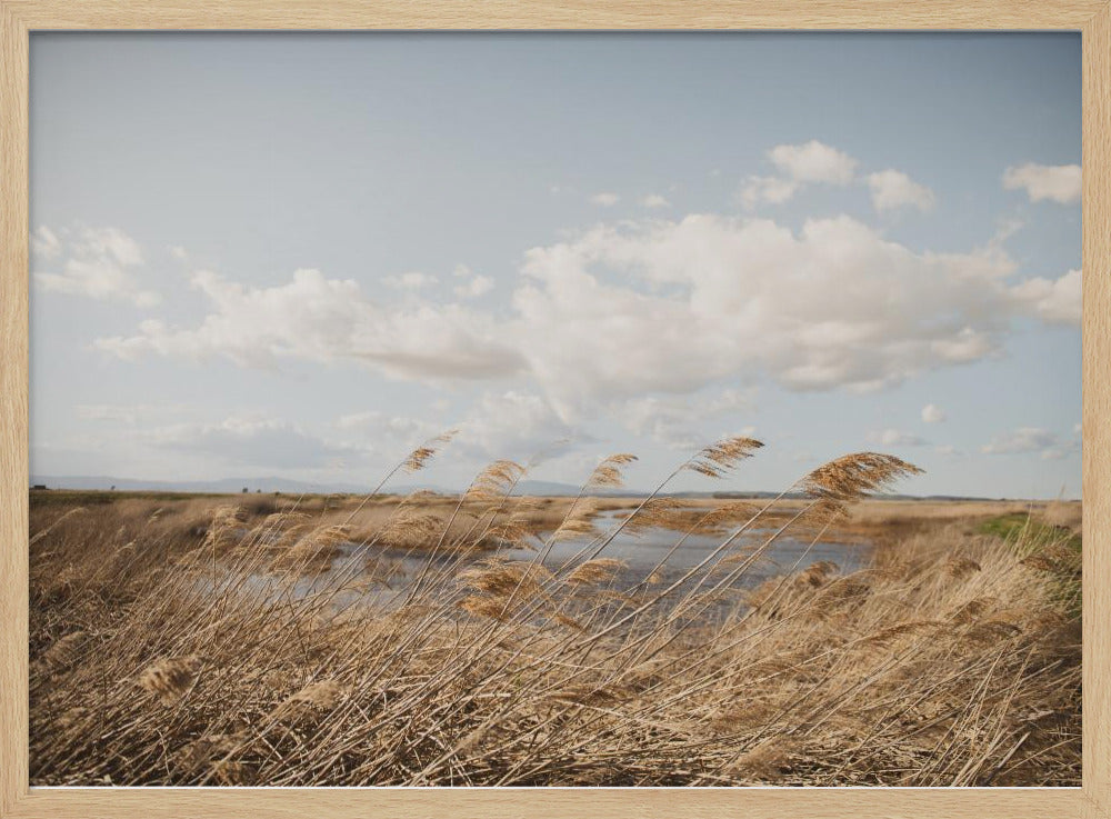 Marshland No.6 | Poster