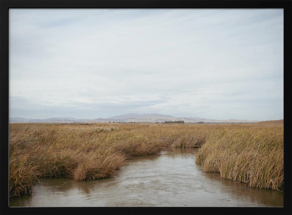 Marshland No.1 | Poster