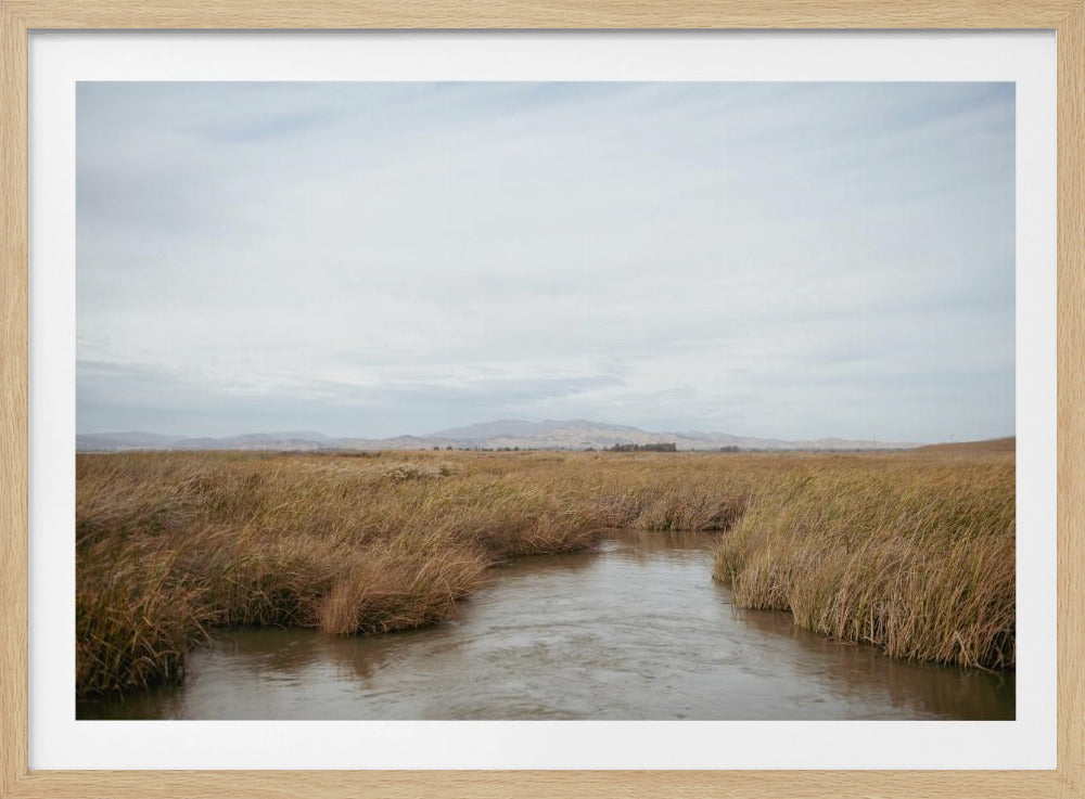 Marshland No.1 | Poster