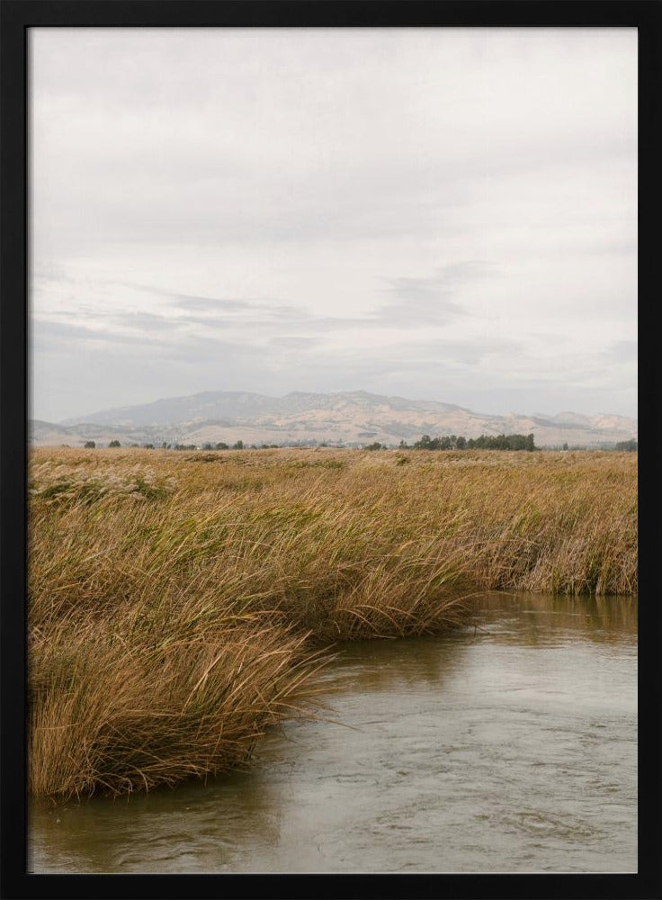 Marshland No.2 | Poster