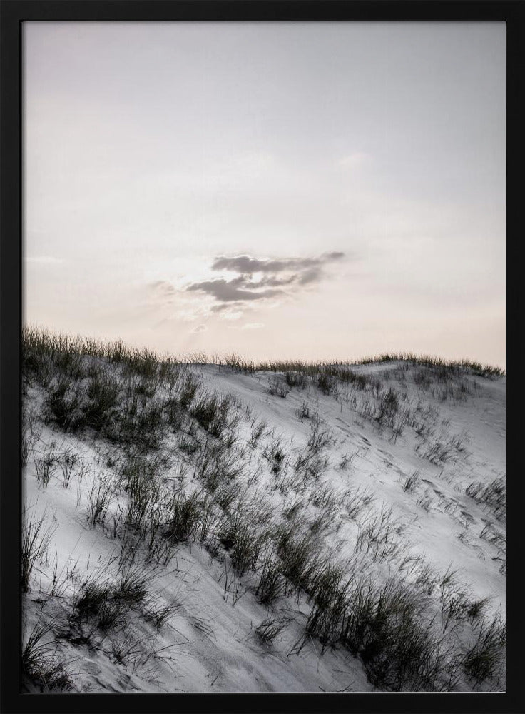 At The Coast | Poster