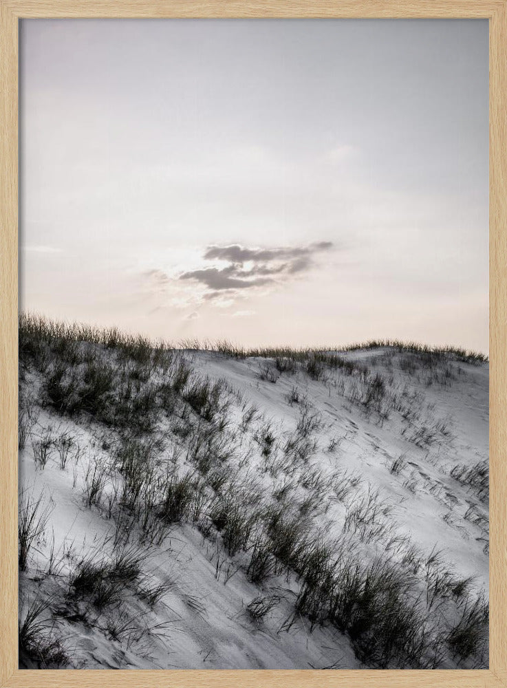 At The Coast | Poster