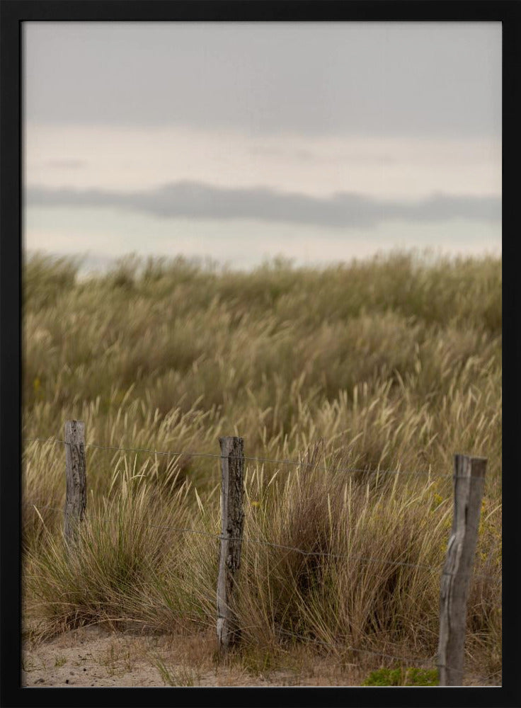 Coast Landscapes 1 | Poster