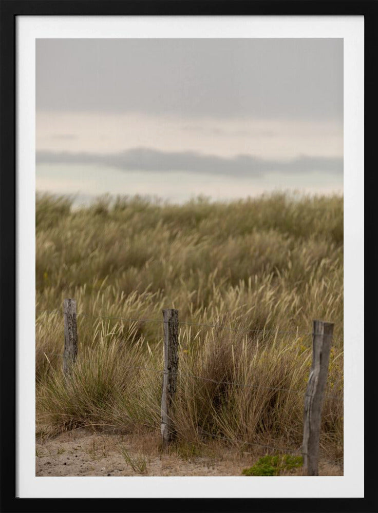 Coast Landscapes 1 | Poster