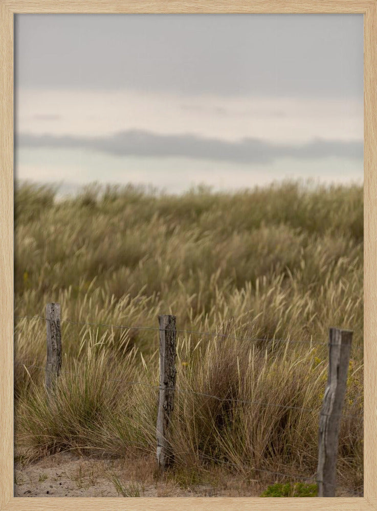 Coast Landscapes 1 | Poster