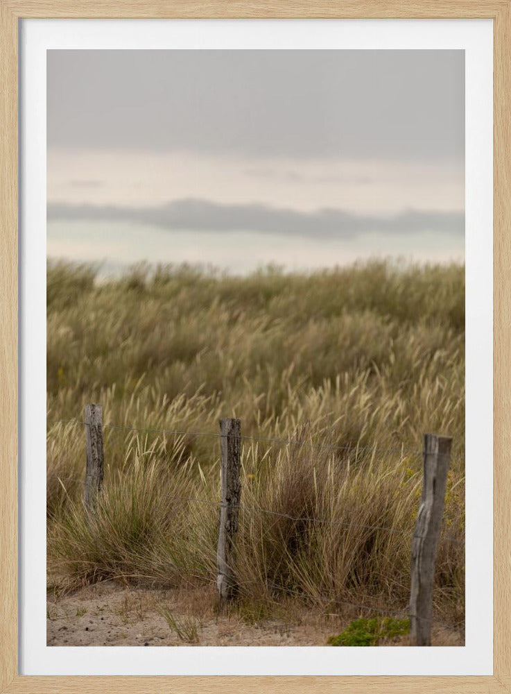 Coast Landscapes 1 | Poster
