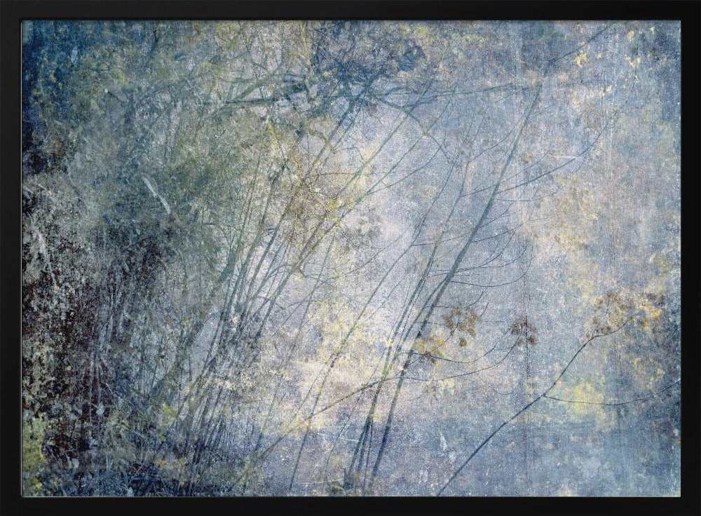 High Sierra I | Poster