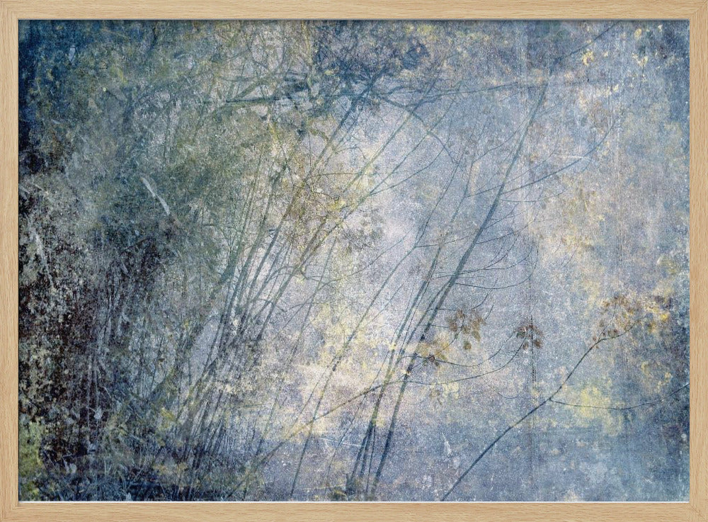 High Sierra I | Poster