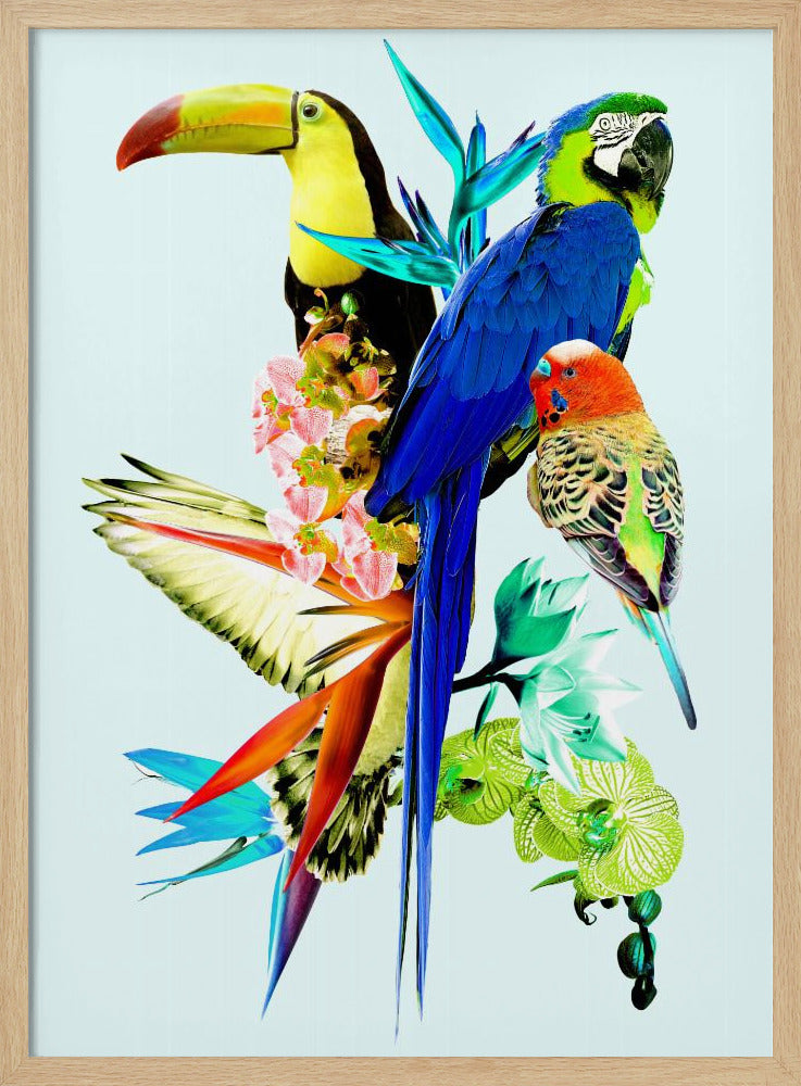 Birds of Paradise II | Poster