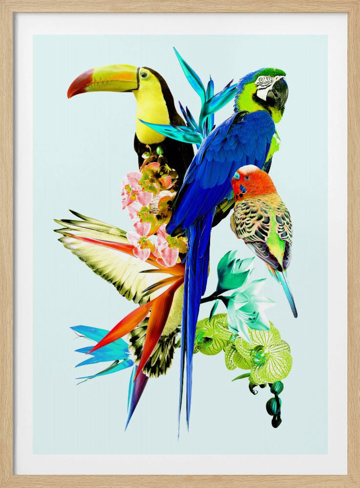 Birds of Paradise II | Poster