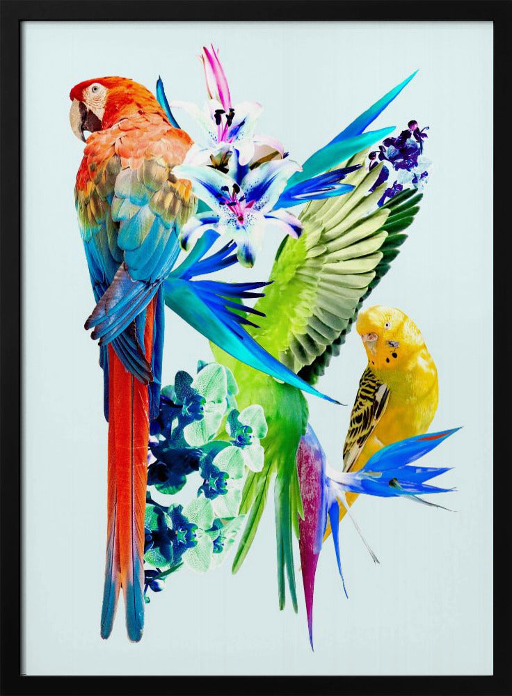 Birds of Paradise I | Poster