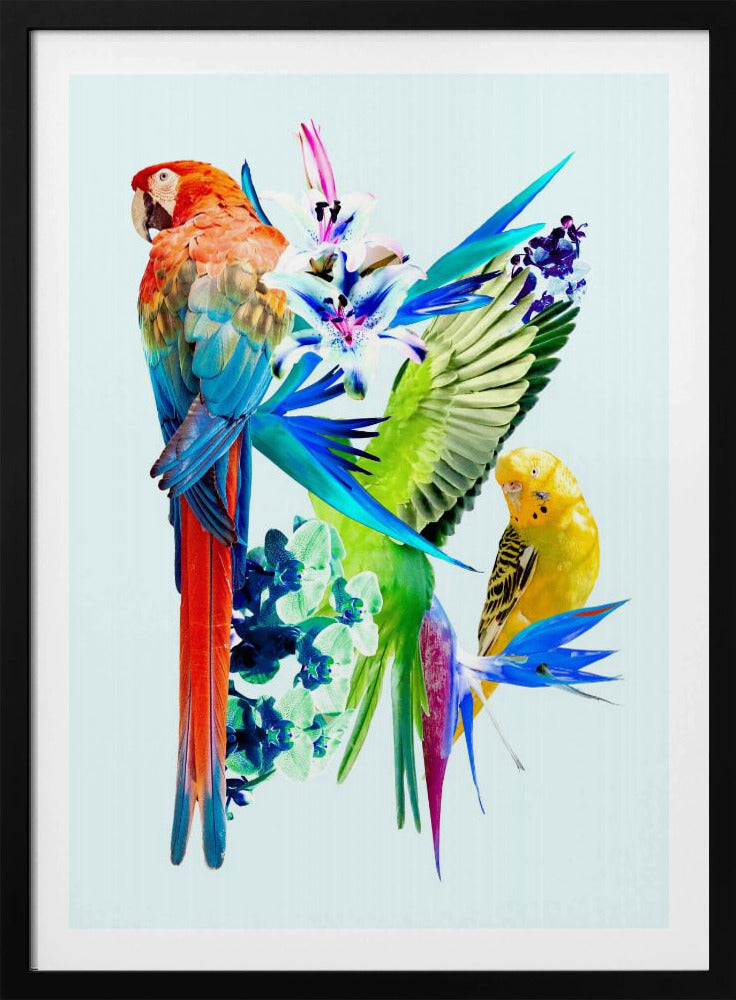Birds of Paradise I | Poster