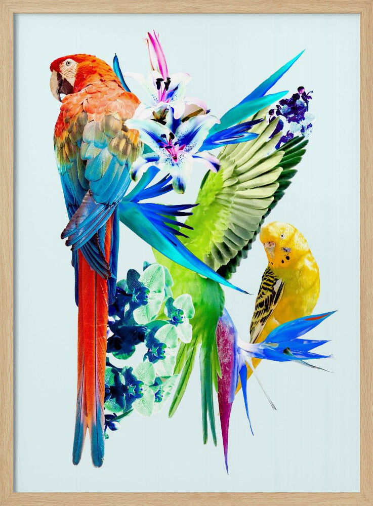Birds of Paradise I | Poster