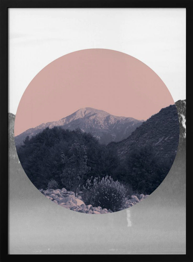 Shapes In Nature II | Poster