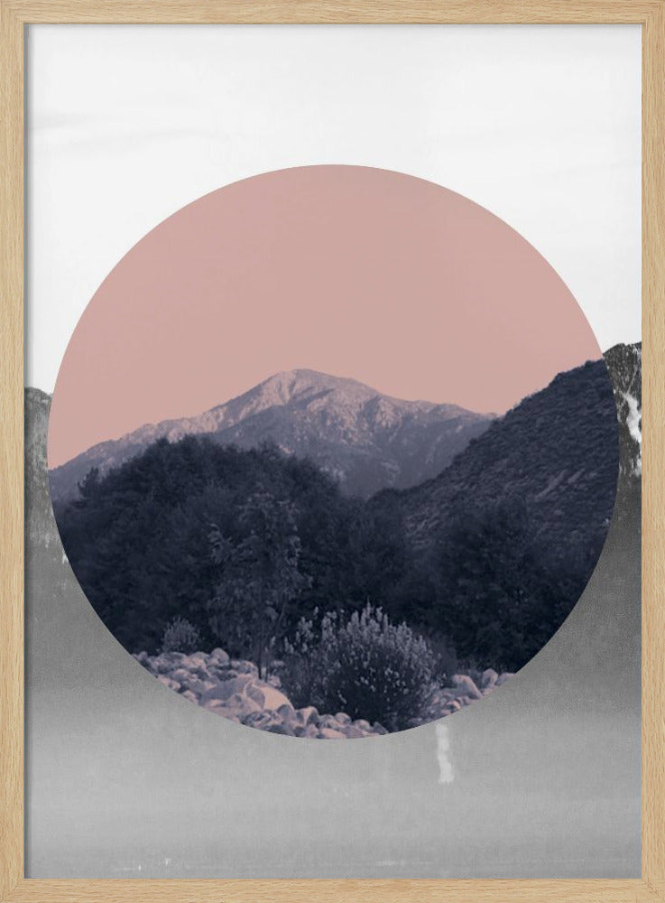 Shapes In Nature II | Poster