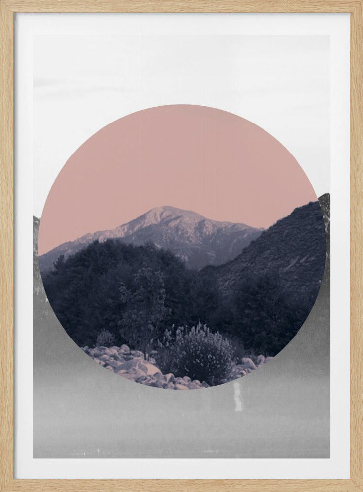 Shapes In Nature II | Poster