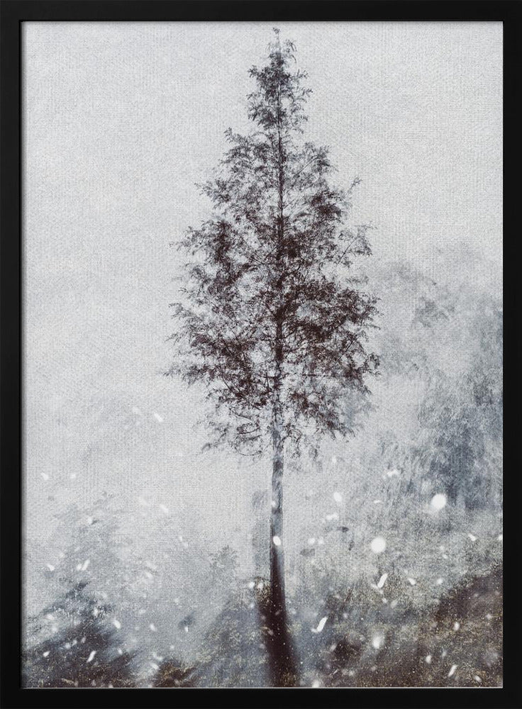 Woven natural dreams | Poster