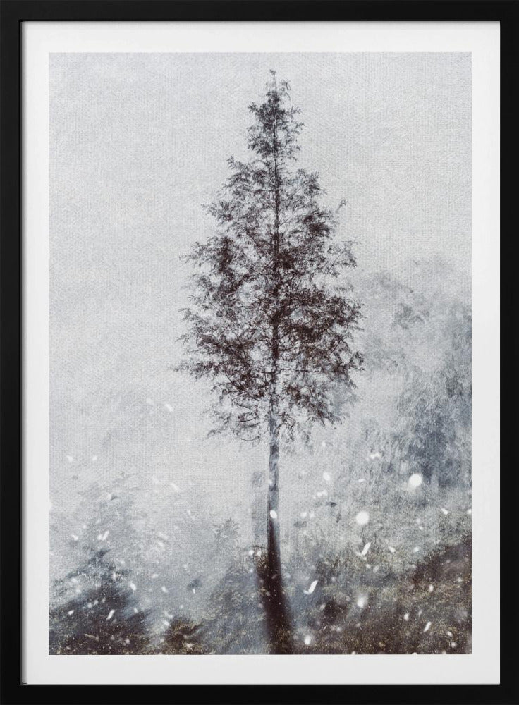 Woven natural dreams | Poster