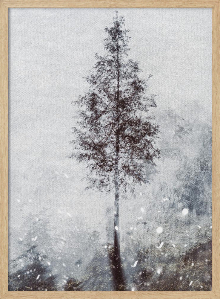 Woven natural dreams | Poster