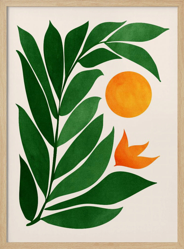 Tropical Forest Sunset | Poster