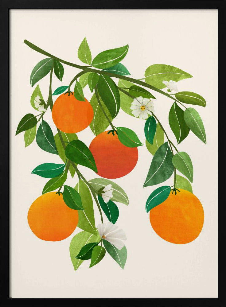 Oranges and Blossoms Ii | Poster