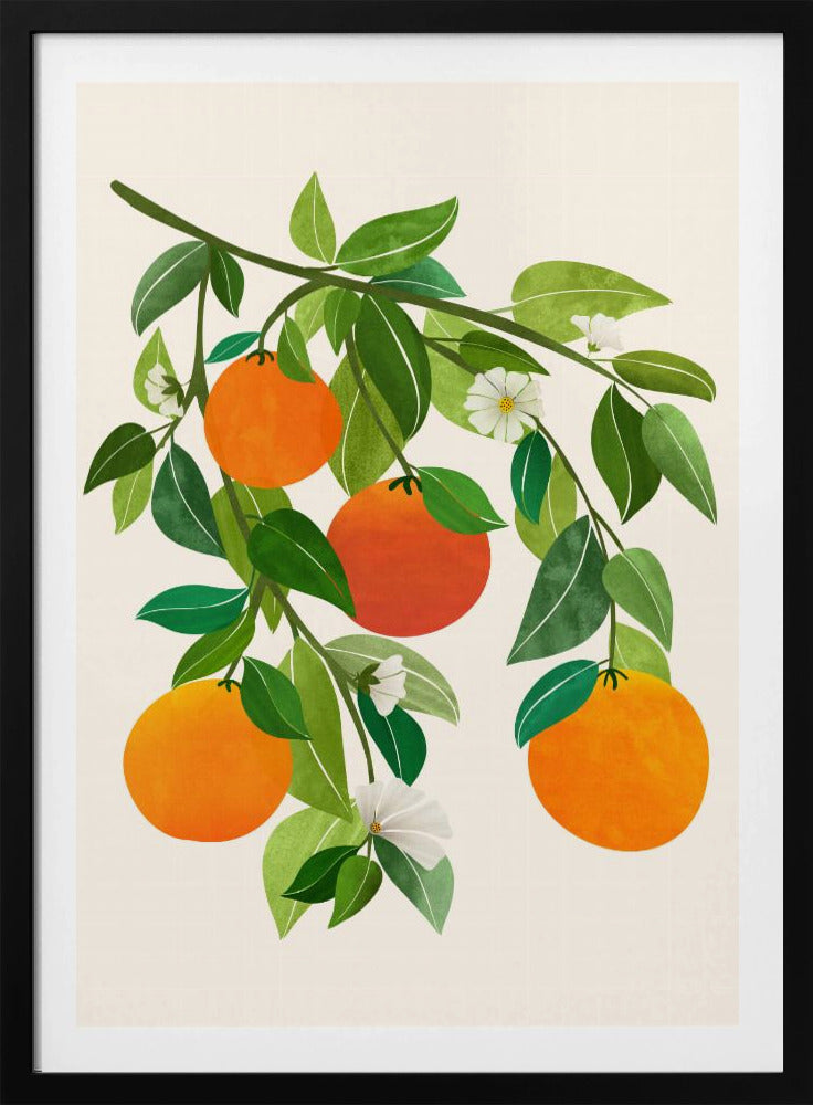 Oranges and Blossoms Ii | Poster