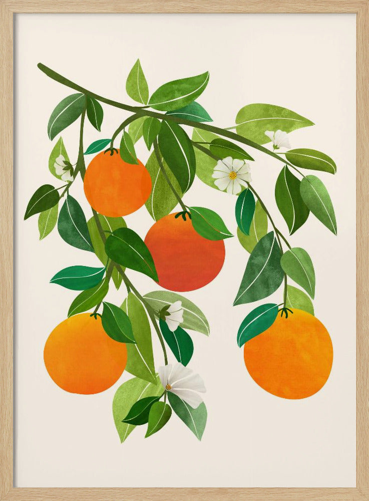 Oranges and Blossoms Ii | Poster