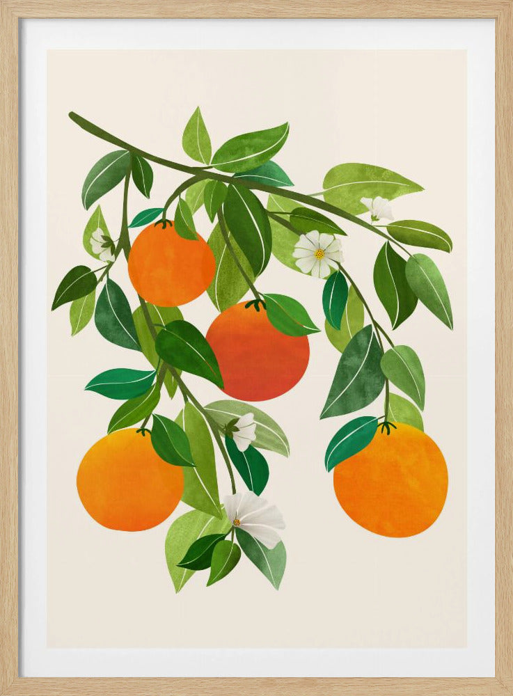 Oranges and Blossoms Ii | Poster