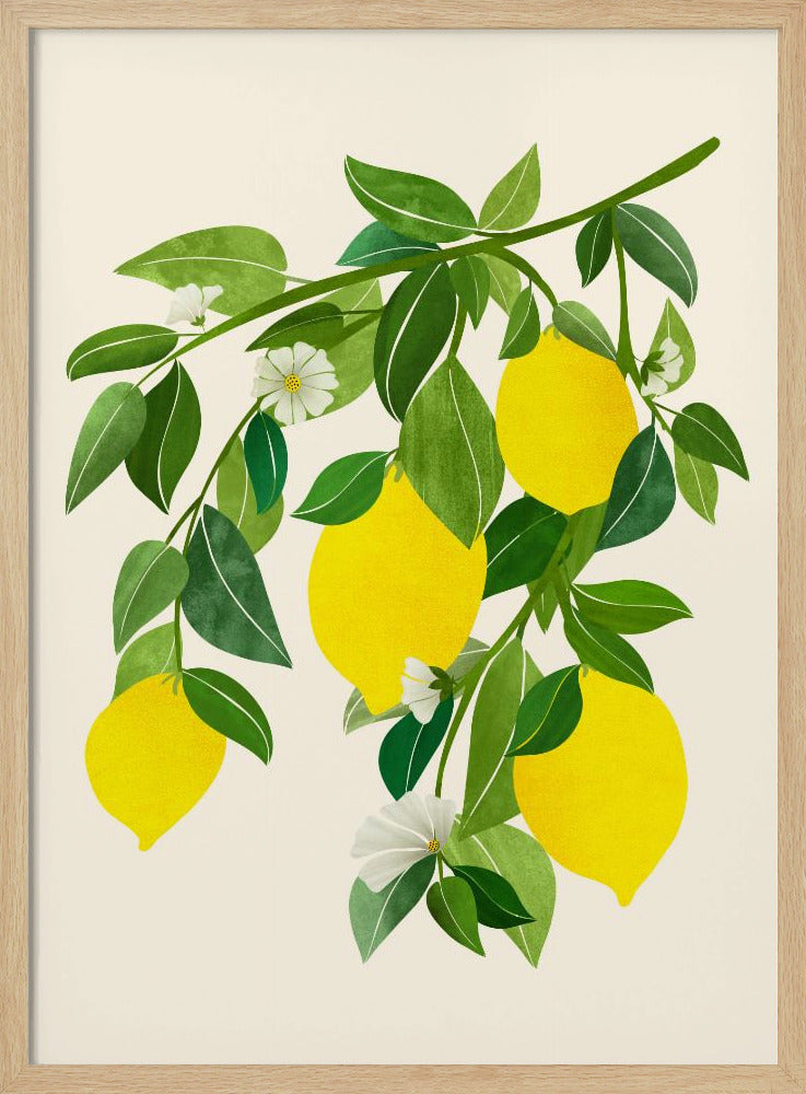 Sunny Lemons 4x5 | Poster