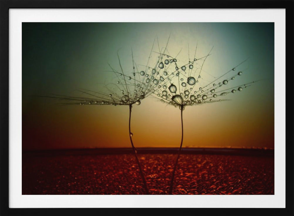 Fire and water | Poster