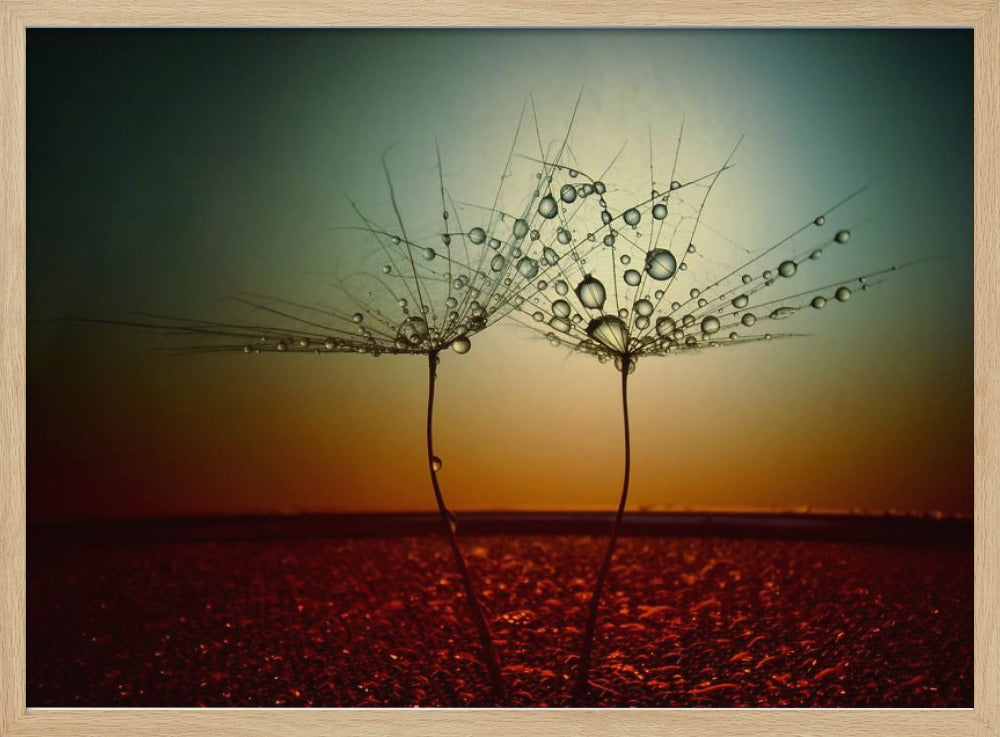 Fire and water | Poster