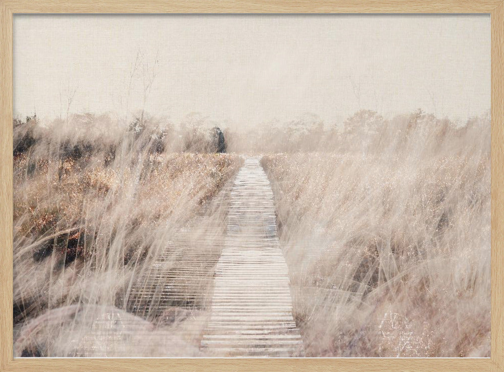 Dreamy landscape | Poster