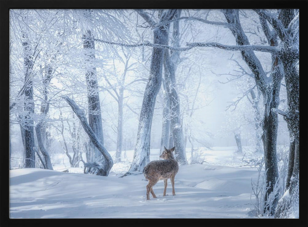 The Sika Deer in the Snowy Forest | Poster