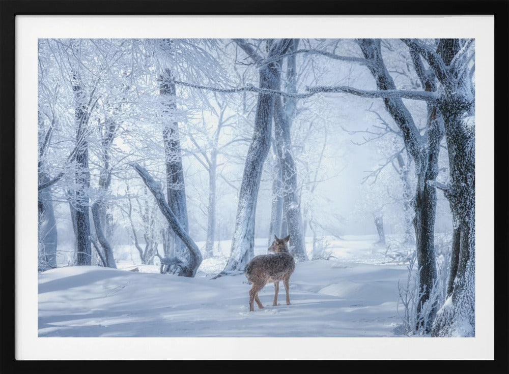 The Sika Deer in the Snowy Forest | Poster