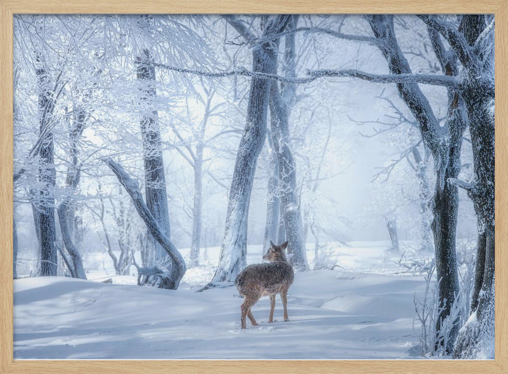 The Sika Deer in the Snowy Forest | Poster