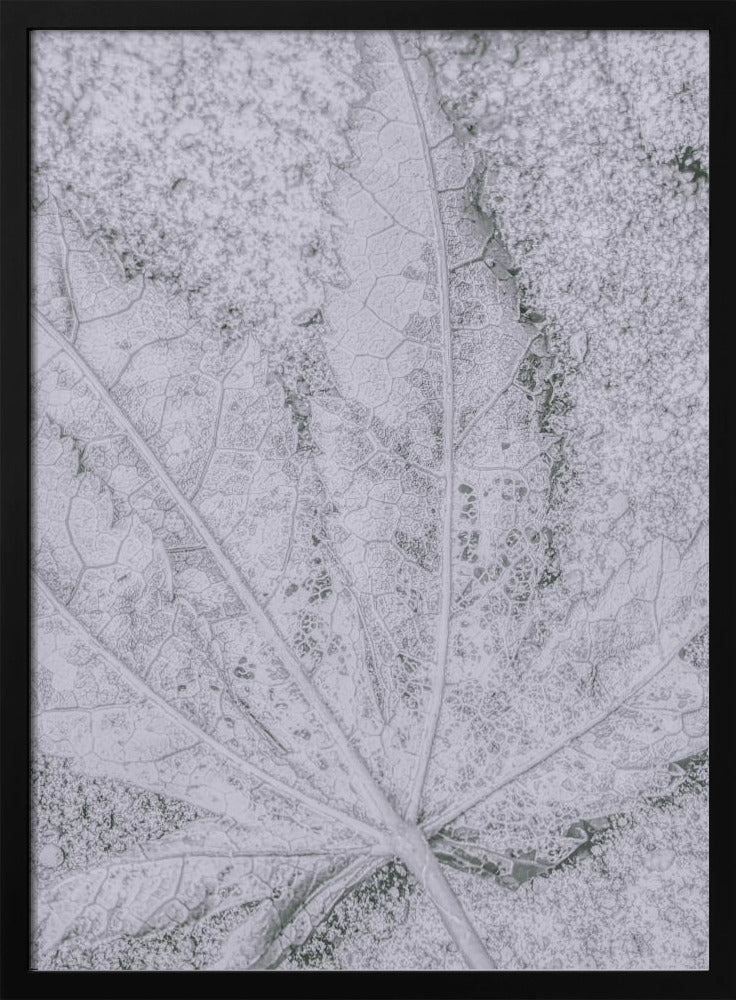 Return to Earth | Poster