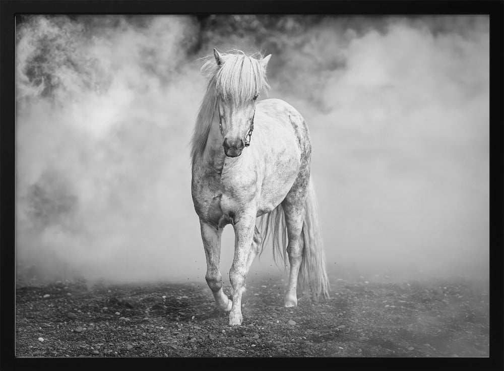 And there came a white horse | Poster