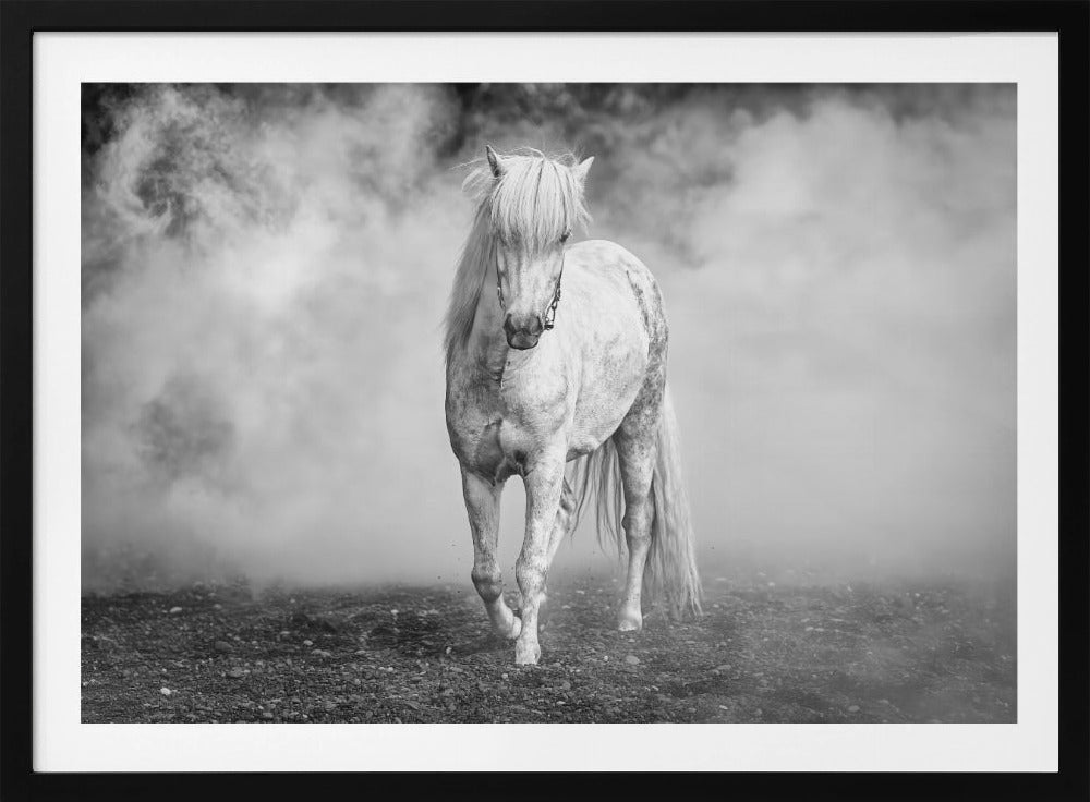 And there came a white horse | Poster