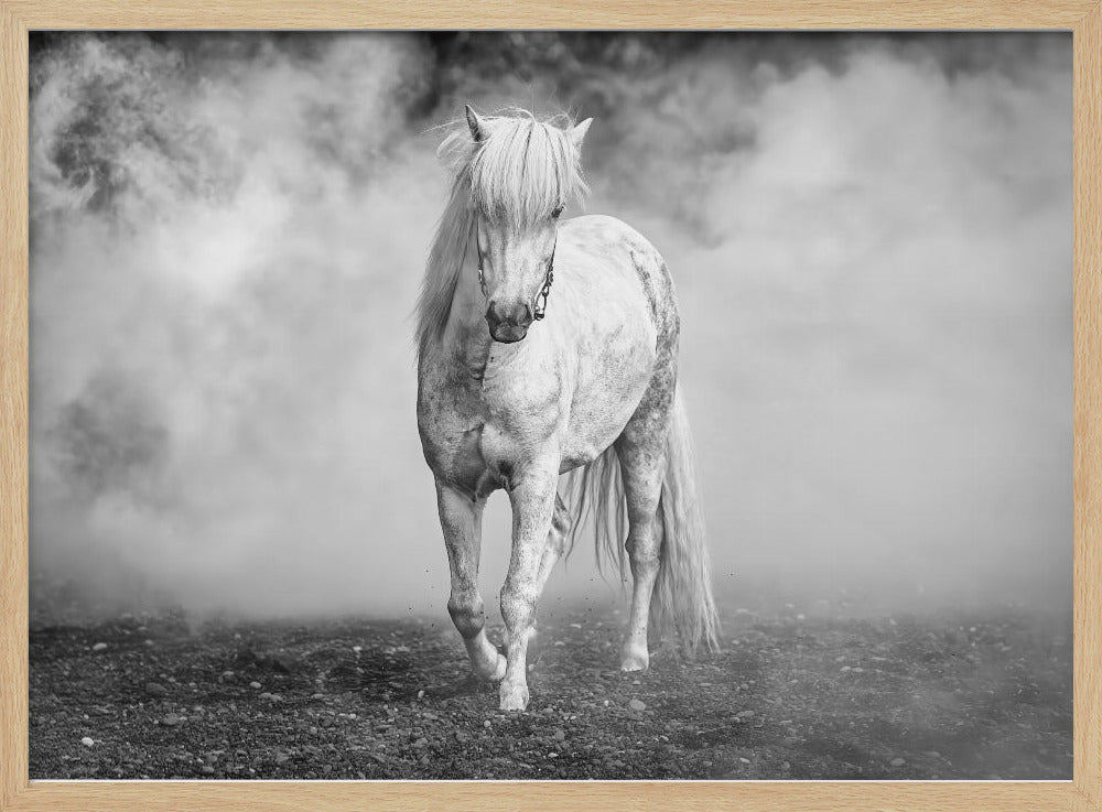And there came a white horse | Poster