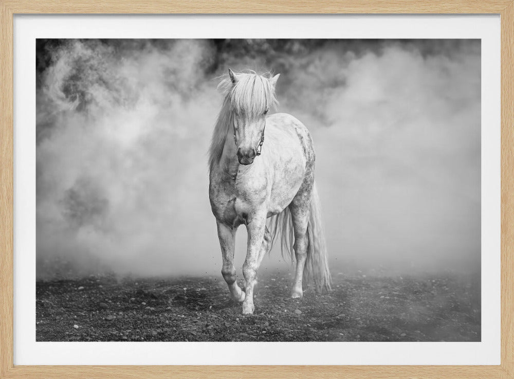 And there came a white horse | Poster