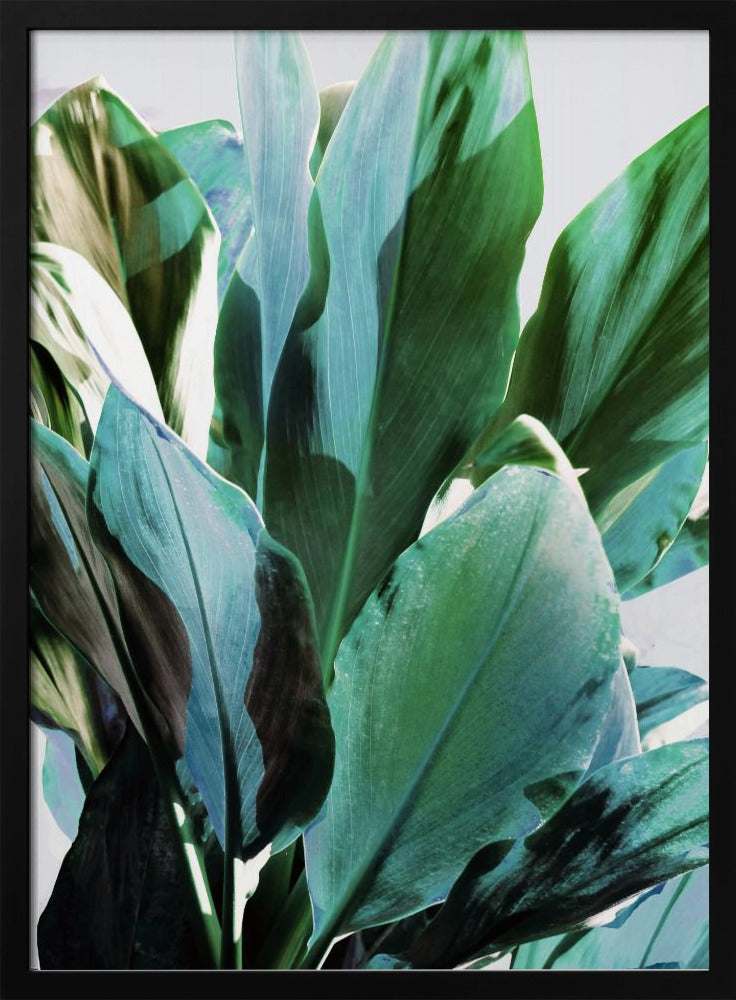 Green Leaves I | Poster